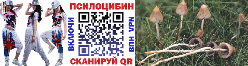 наркошоп  Сусуман  Галлюциногенные грибы GOLDEN TEACHER 